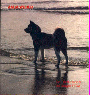 Copy of Akita World Cover.gif (43819 bytes)